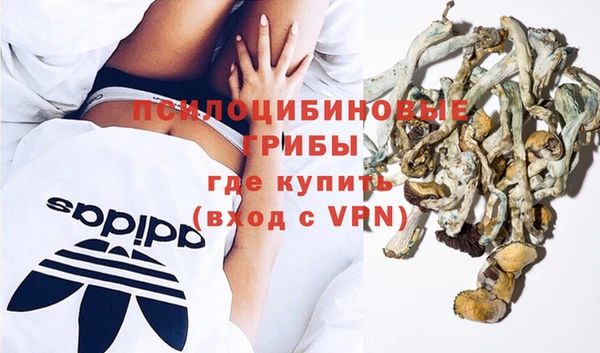 тгк Балахна